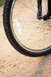 Dirty protector of a bicycle. Active leisure on the nature