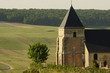 Vignes