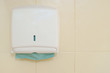 Paper Towel Dispenser