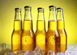 Bottles of cold and fresh beer with ice