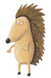 Cute hedgehog standing