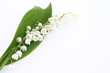 Lily of the valley flowers with a leaf on white background Lily of the valley flowers with a leaf on white background