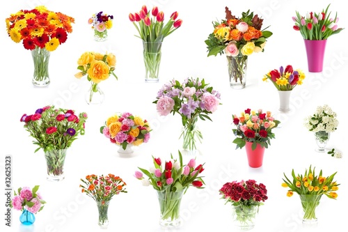 Photo: Collection of flowers Collection of flowers