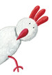 White hen peeking
