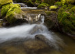 Photo: forest stream log exposure forest stream log exposure