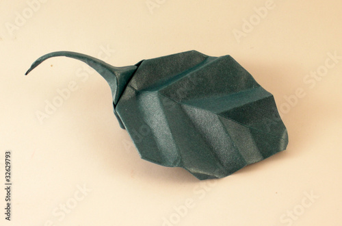 Foto: hoja hoja