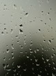 Rain drops on window Rain drops on window