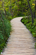 Pathway in Plitvice lakes park at Croatia