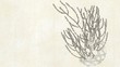 生花薔薇篭01