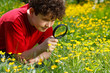 Boy looking through magnifying glass