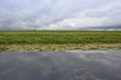 stormy skies over an aquatic landscape