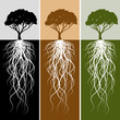 Vertical Tree Root Banner Set
