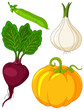 Set of vegetables4