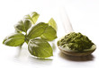 Pesto