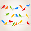 bird4