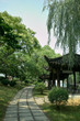 Chinese Scenery