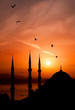 Night view of mosque, Istanbul Night view of mosque, Istanbul