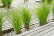 Gartengestaltung