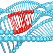 Baldness - Hereditary Genetics in DNA Strand Baldness - Hereditary Genetics in DNA Strand