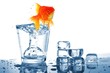 goldfish