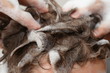 Haare waschen mit Kopfmassage