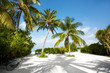 Beautiful image of seashore in the beach