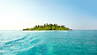 Beautiful tropical island with palm trees in ocean