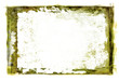 Green Grunge Background