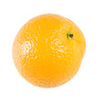 Freigestellt Orange