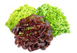 Drei Sorten Salat