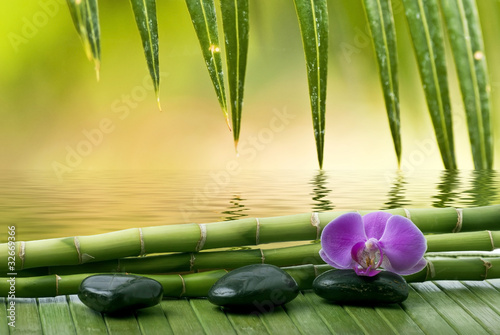Foto: ambiente relax ambiente relax