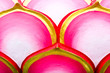 Pink lotus background