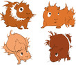 Guinea pigs