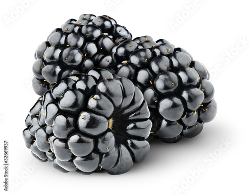 Photo: Blackberries isolated on white Blackberries isolated on white