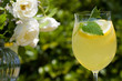 Cocktail in the garden