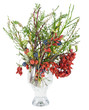 Christmas bouquet with wild wood berries isolated Christmas bouquet with wild wood berries isolated