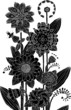 Vektor: Flowers Flowers