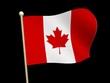 Video: Canada Flagge Canada Flagge