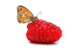 framboise