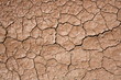 Cracked and dried mud Cracked and dried mud