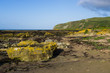 Kildonan Beach on the Isle of Arran