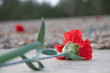 Photo: Memorial Sobibor Memorial Sobibor