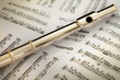 Solid Silver Flute Head Joint