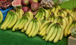 Bananas on the market Bananas on the market