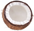 High-quality photos of coconuts on a white background.