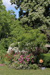 Gartenanlage mit verschiedenen Rosen