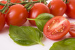 tomatoes