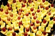 Käsewürfel