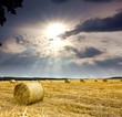 Sonnenstrahlen für die Ernte - 04