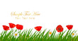 Background with beautiful red poppies and plant. Vectoк Background with beautiful red poppies and plant. Vectoк